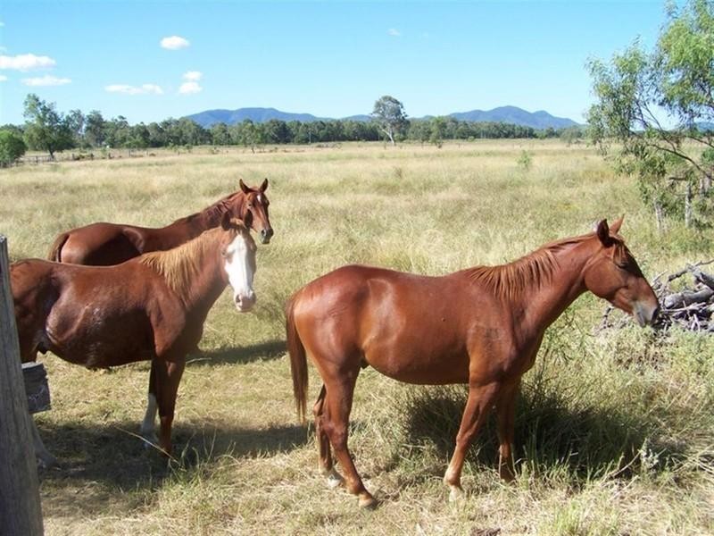 21 Fairy Bower Lane, Fairy Bower QLD 4700