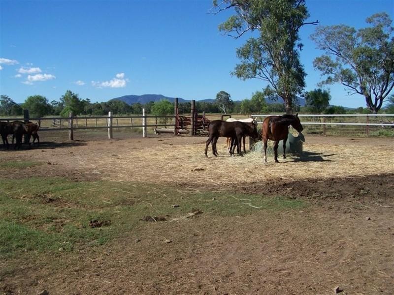 21 Fairy Bower Lane, Fairy Bower QLD 4700
