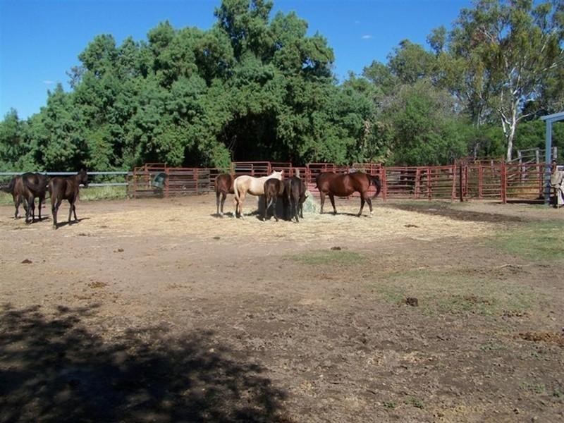 21 Fairy Bower Lane, Fairy Bower QLD 4700