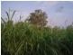 815 Upper Ulam Road, Bajool QLD 4699