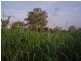 815 Upper Ulam Road, Bajool QLD 4699