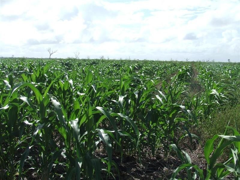 0 River Road, Midgee QLD 4702