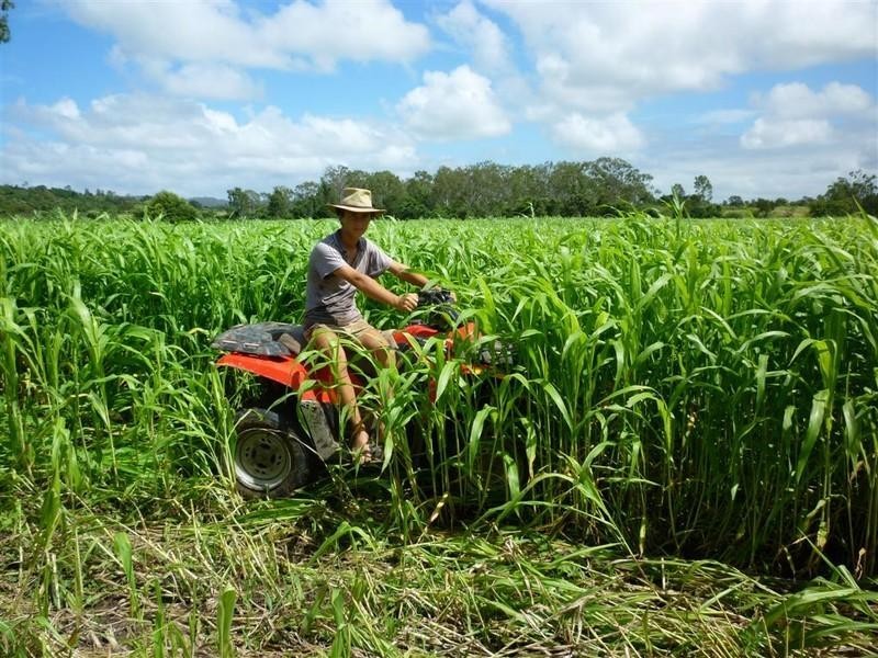 Lot 54 Stanwell Road, Dalma QLD 4702
