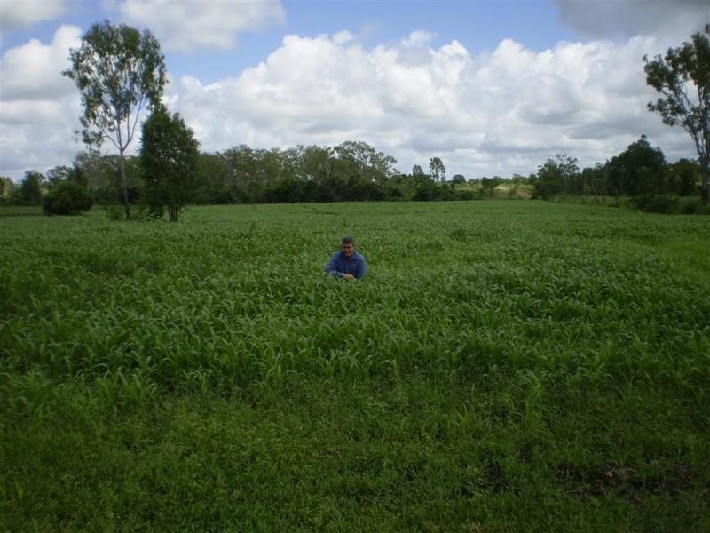 Lot 54 Stanwell Road, Dalma QLD 4702