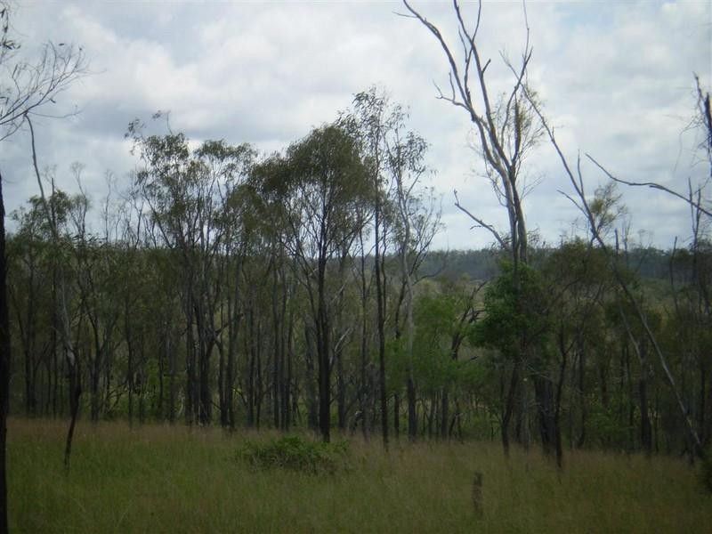 Lot 54 Stanwell Road, Dalma QLD 4702