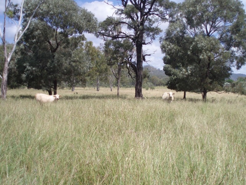 1061 Upper Ulam Road, Bajool QLD 4699