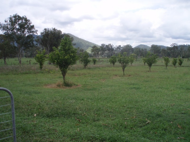 1061 Upper Ulam Road, Bajool QLD 4699