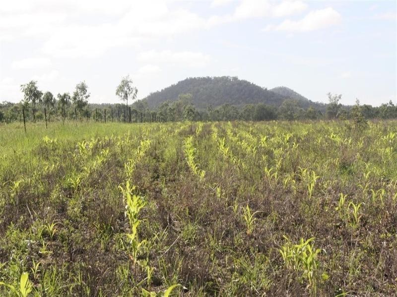 1515 Atkinson Road, Canoona QLD 4702