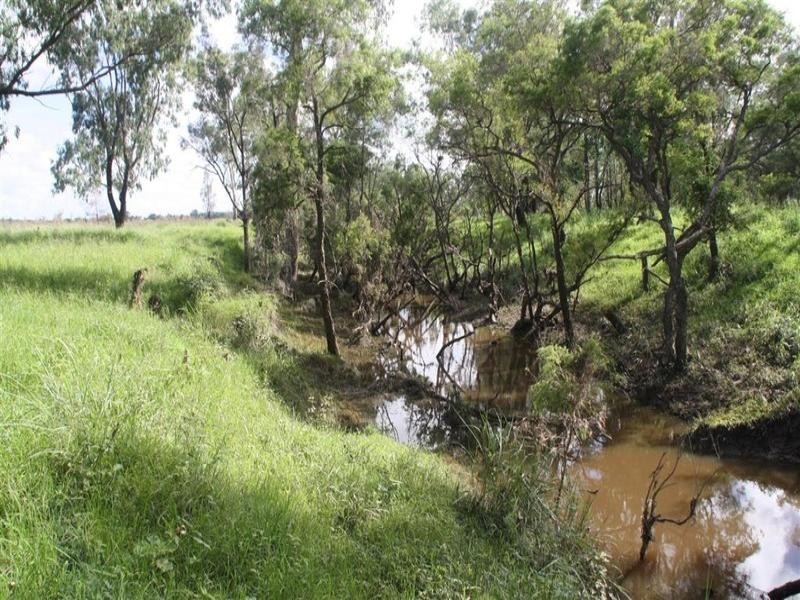 1515 Atkinson Road, Canoona QLD 4702