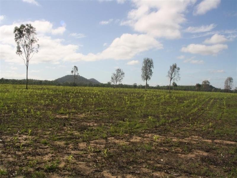 1515 Atkinson Road, Canoona QLD 4702