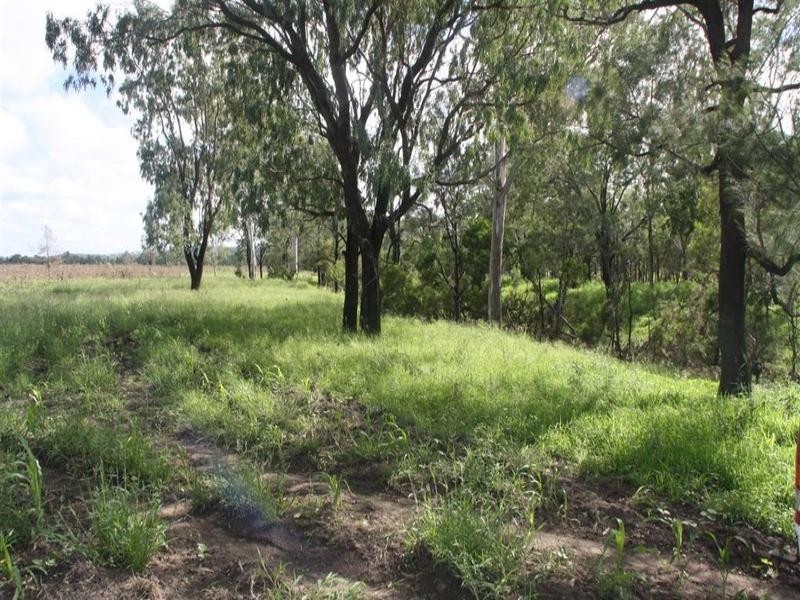 1515 Atkinson Road, Canoona QLD 4702