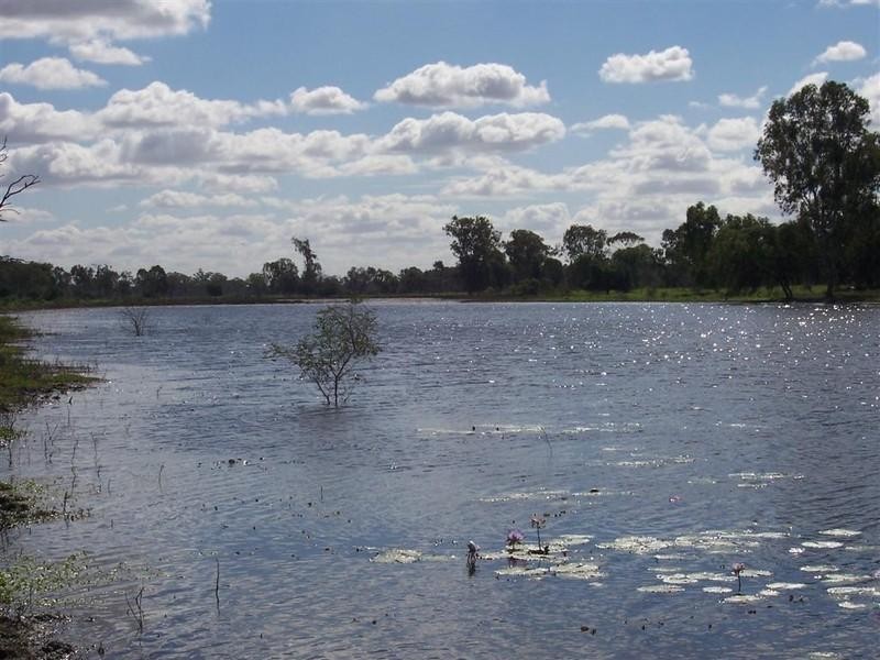 247 and 248 Fogarty Lane, Fairy Bower QLD 4700