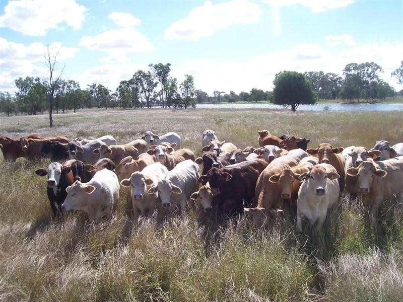 247 and 248 Fogarty Lane, Fairy Bower QLD 4700