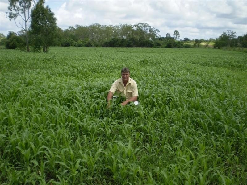 Lot 54 Stanwell Road, Dalma QLD 4702