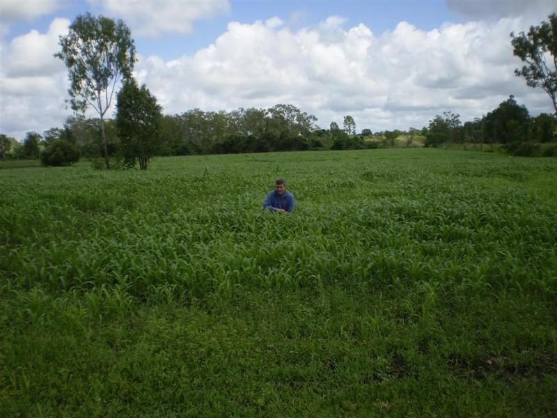 Lot 54 Stanwell Road, Dalma QLD 4702