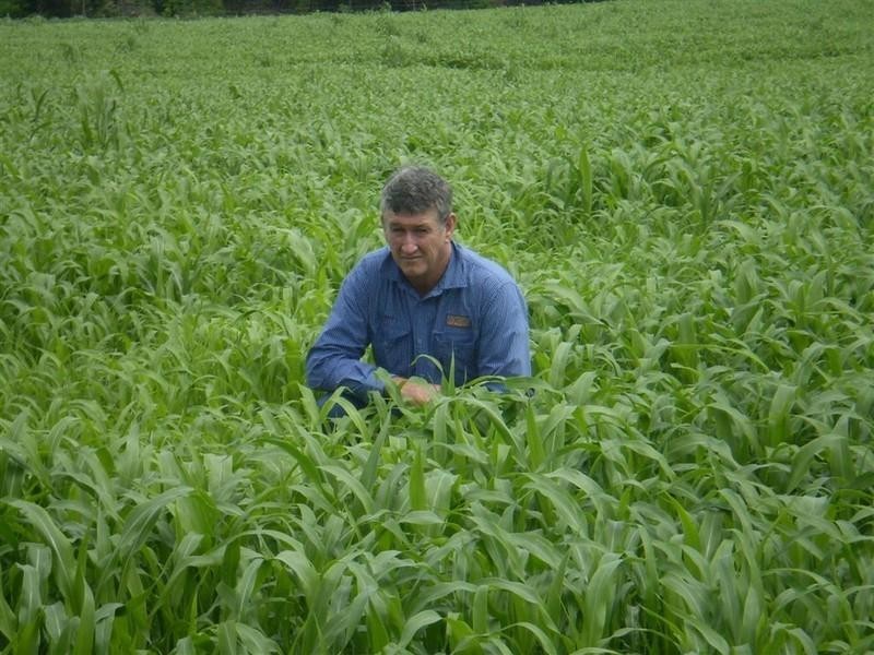 Lot 54 Stanwell Road, Dalma QLD 4702