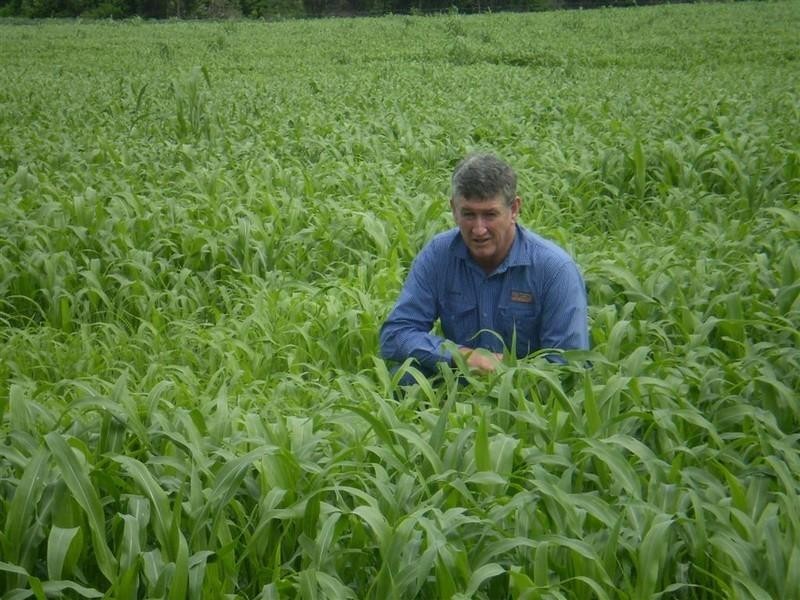 Lot 54 Stanwell Road, Dalma QLD 4702