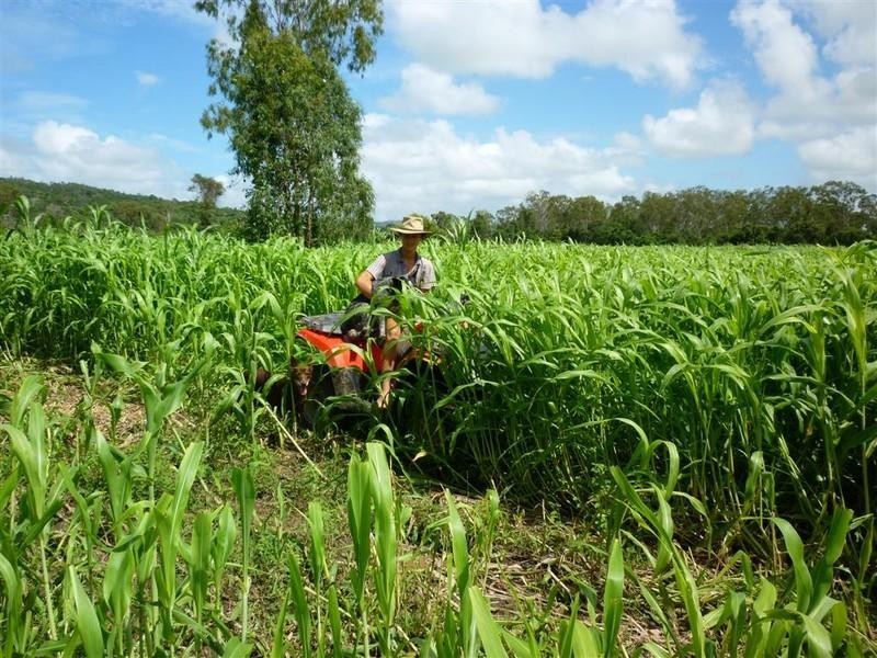 Lot 54 Stanwell Road, Dalma QLD 4702