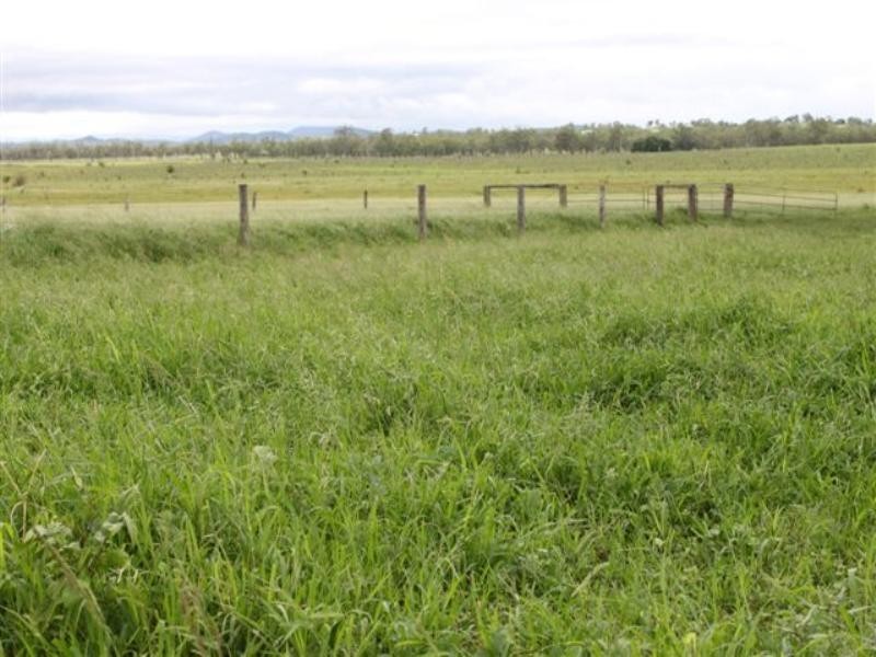 119 Harding Road, Alton Downs QLD 4702