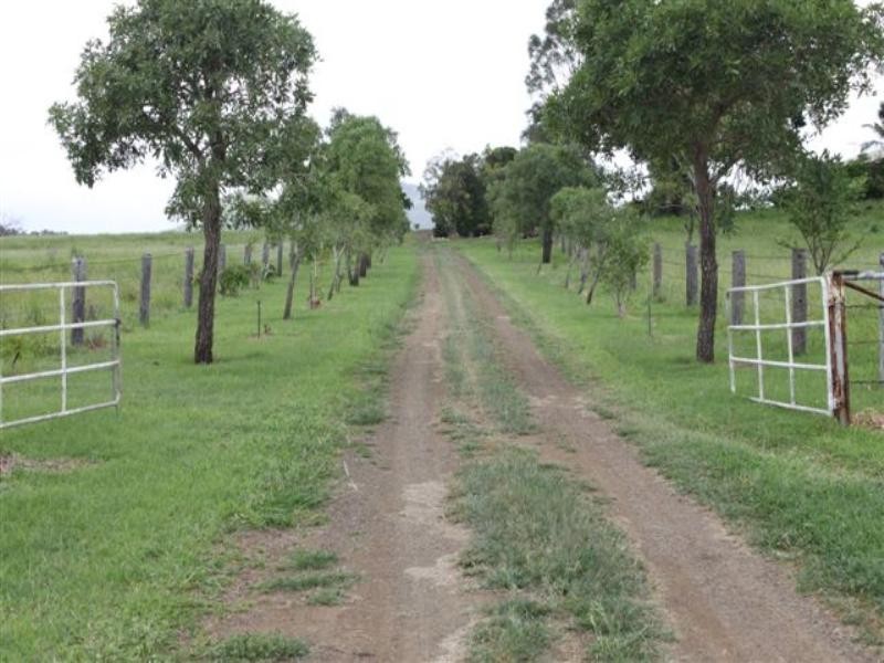 119 Harding Road, Alton Downs QLD 4702