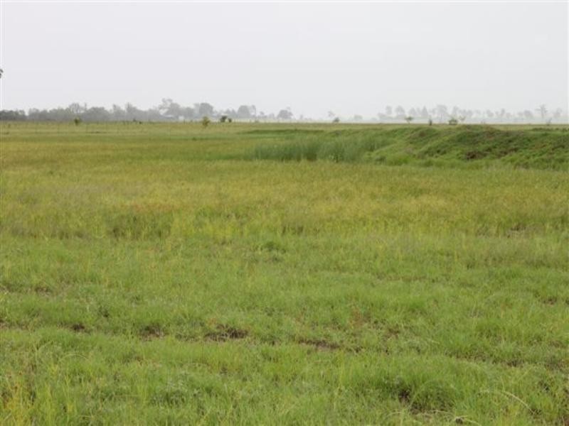 119 Harding Road, Alton Downs QLD 4702