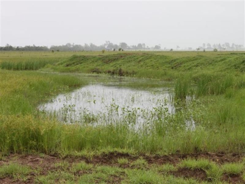 119 Harding Road, Alton Downs QLD 4702