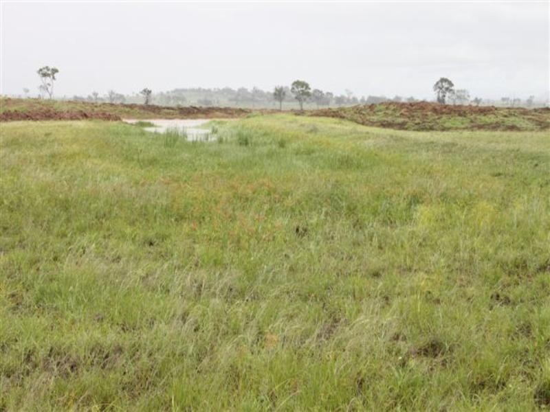 119 Harding Road, Alton Downs QLD 4702