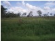 Lot 137 Tyrell Road, Alton Downs QLD 4702
