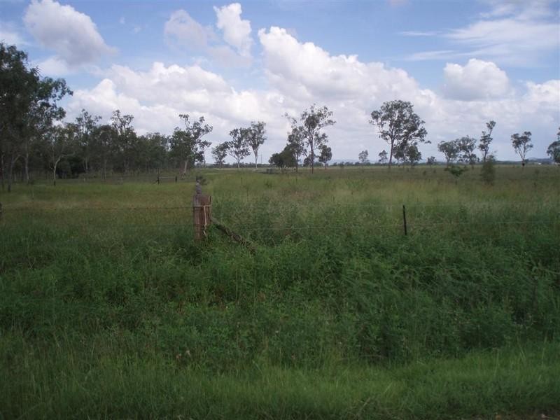 Lot 137 Tyrell Road, Alton Downs QLD 4702