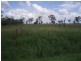 Lot 137 Tyrell Road, Alton Downs QLD 4702