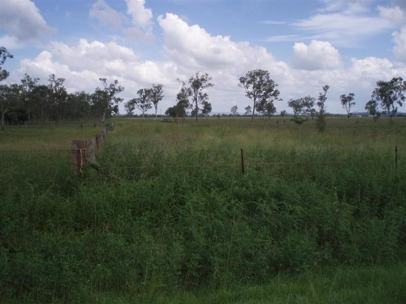 Lot 137 Tyrell Road, Alton Downs QLD 4702