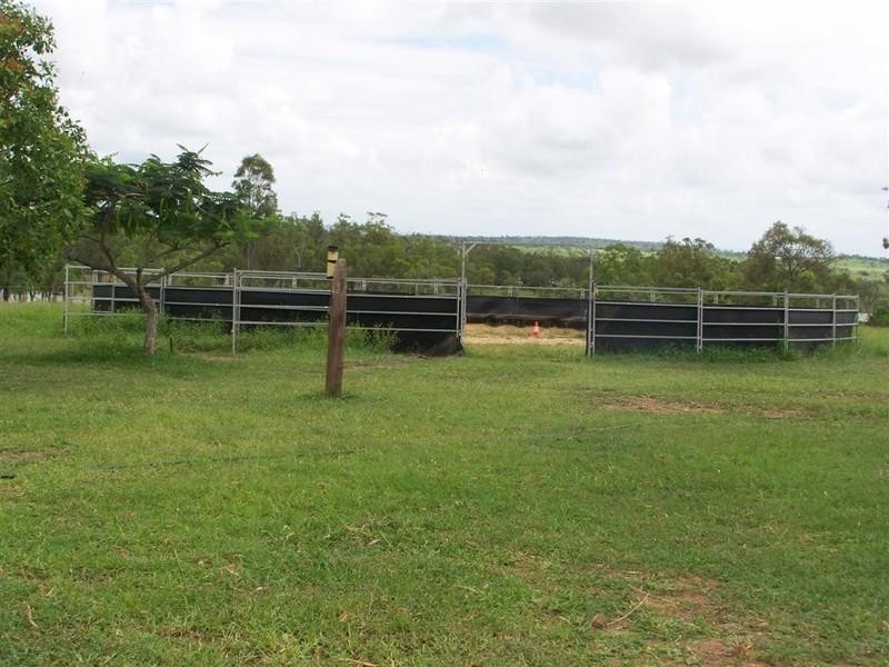 879 Lion Mountain Road, Alton Downs QLD 4702
