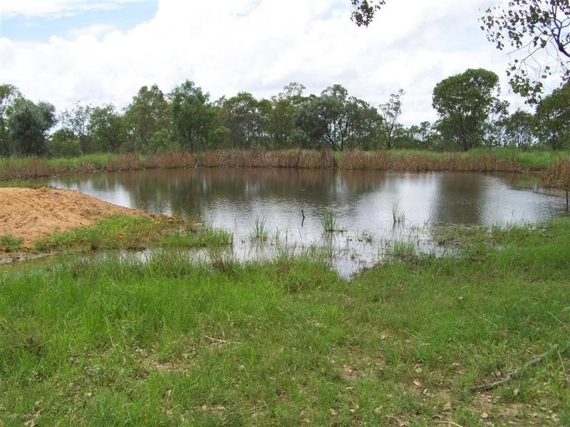 879 Lion Mountain Road, Alton Downs QLD 4702