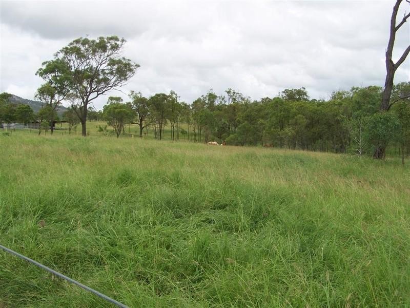 879 Lion Mountain Road, Alton Downs QLD 4702