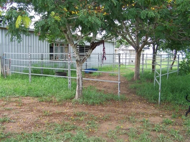 879 Lion Mountain Road, Alton Downs QLD 4702