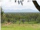 879 Lion Mountain Road, Alton Downs QLD 4702