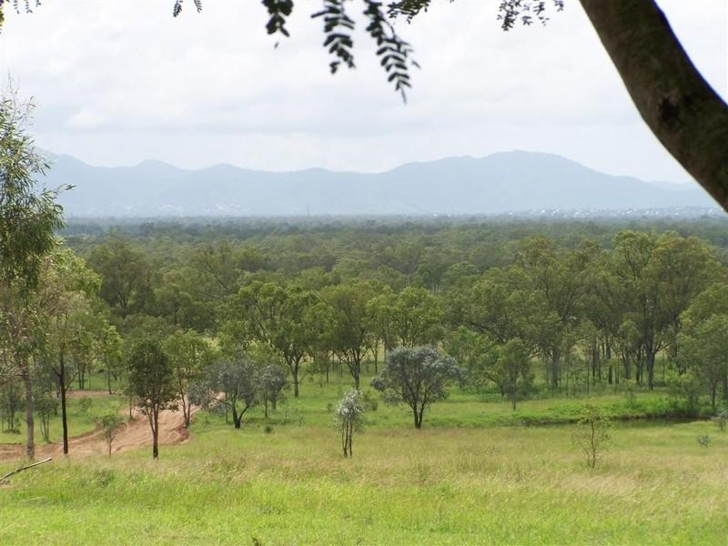 879 Lion Mountain Road, Alton Downs QLD 4702