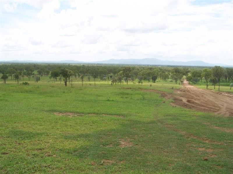 879 Lion Mountain Road, Alton Downs QLD 4702