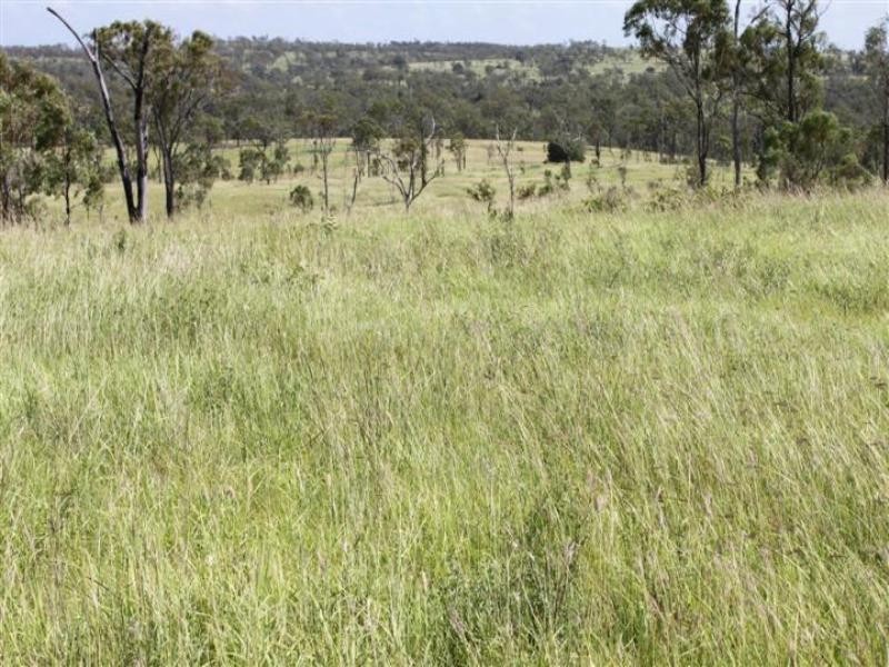 “Stoneleigh” Limestone Creek Road, Alton Downs QLD 4702