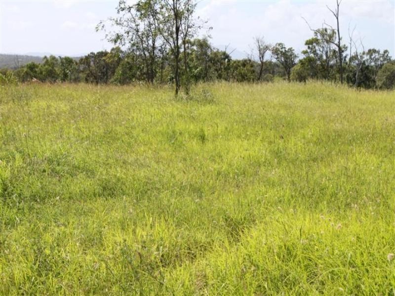 “Stoneleigh” Limestone Creek Road, Alton Downs QLD 4702