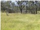 “Stoneleigh” Limestone Creek Road, Alton Downs QLD 4702