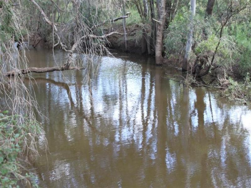 “Stoneleigh” Limestone Creek Road, Alton Downs QLD 4702