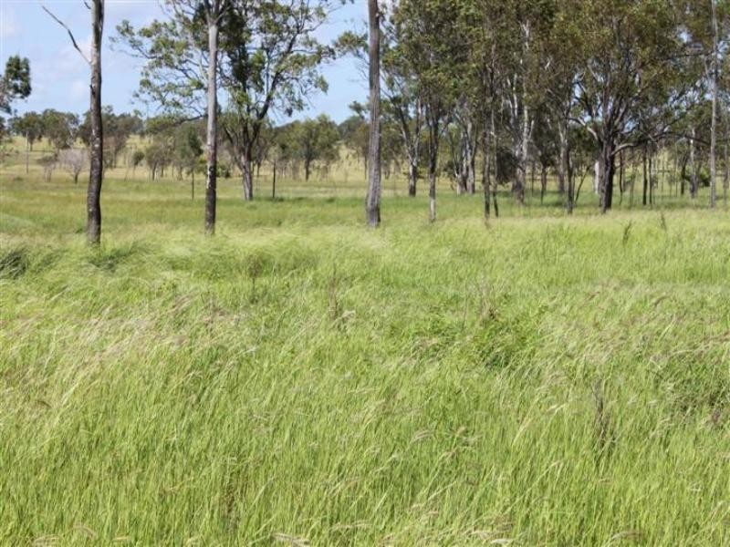 “Stoneleigh” Limestone Creek Road, Alton Downs QLD 4702