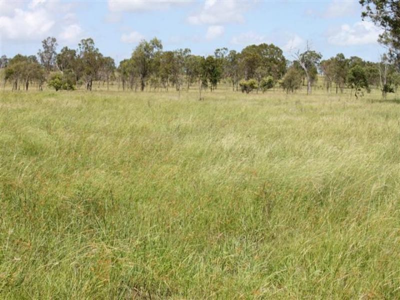 “Stoneleigh” Limestone Creek Road, Alton Downs QLD 4702