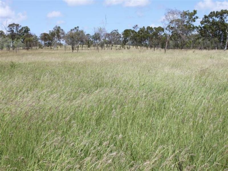 “Stoneleigh” Limestone Creek Road, Alton Downs QLD 4702