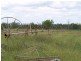 Lot 102 Wedel Road, Alton Downs QLD 4702