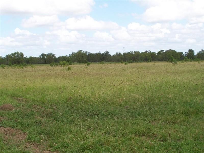 Lot 102 Wedel Road, Alton Downs QLD 4702