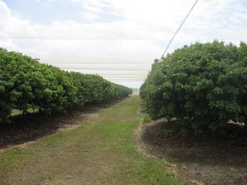 123 SEYMOUR Road, South Yaamba QLD 4702