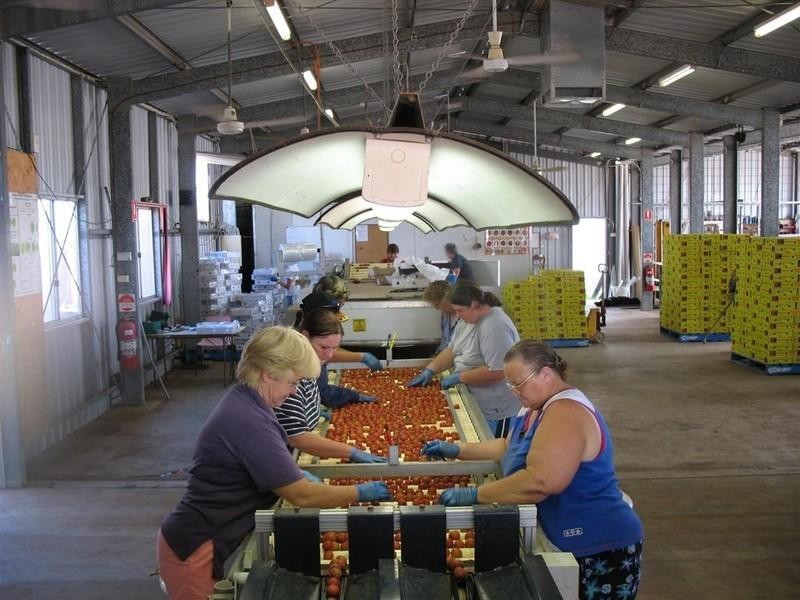 123 SEYMOUR Road, South Yaamba QLD 4702