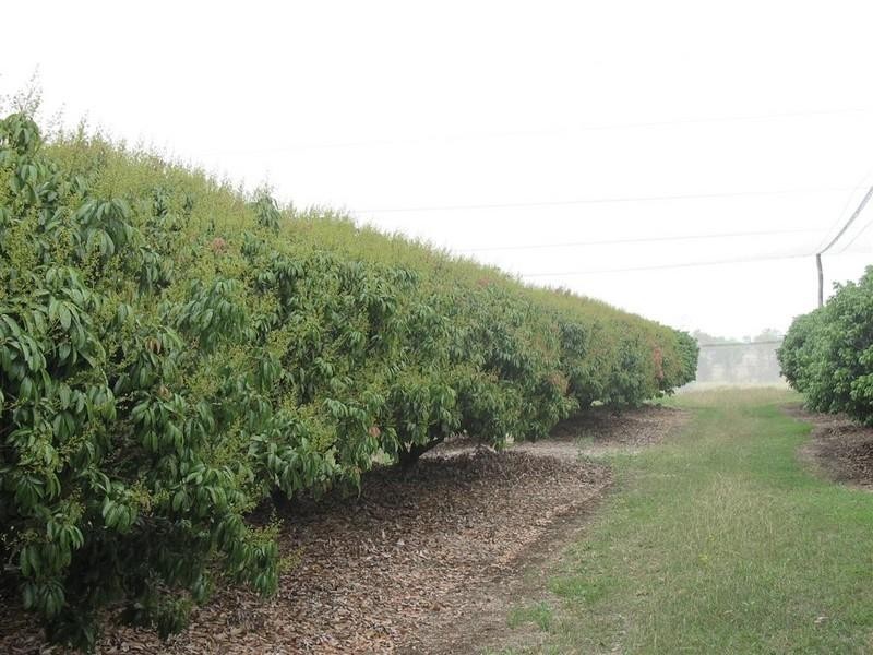 123 SEYMOUR Road, South Yaamba QLD 4702